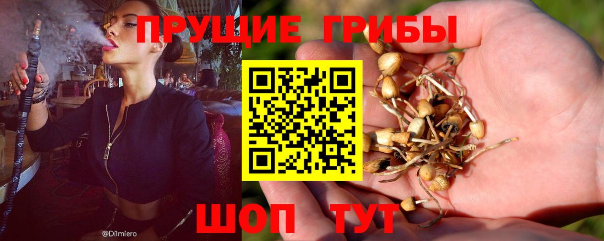 Псилоцибиновые грибы Magic Shrooms Новотроицк